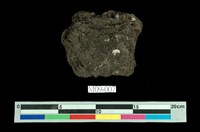 藏品(泥炭)的圖片